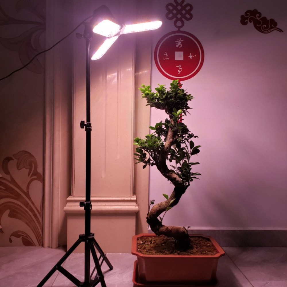 Light Bulb Stand 2M, E27 AC So - огляд і ціна Photography Umbrella