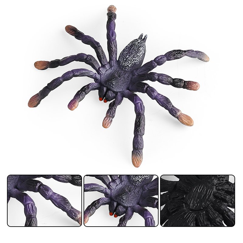 Oenux Insect Animals Model Spi - огляд і ціна Photography Online