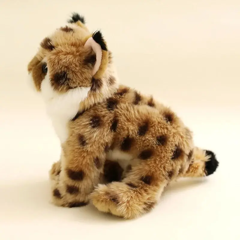 Lifelike Felidae Lynx Plush To - огляд і ціна Photography Zoo