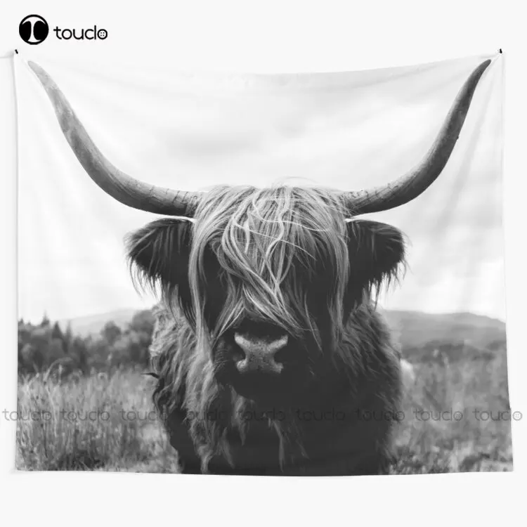 Scottish Highland Cattle - Bla - огляд і ціна Photography Online