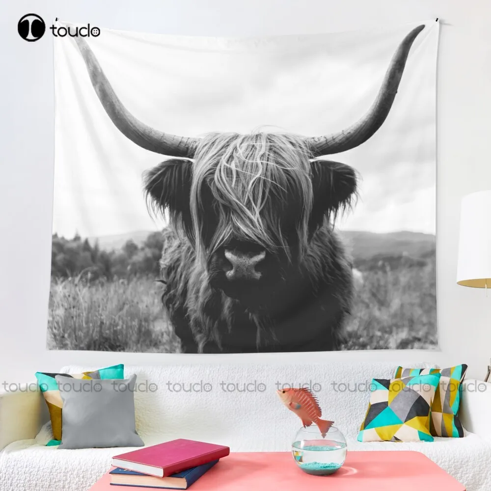 Scottish Highland Cattle - Bla - огляд і ціна Photography Online