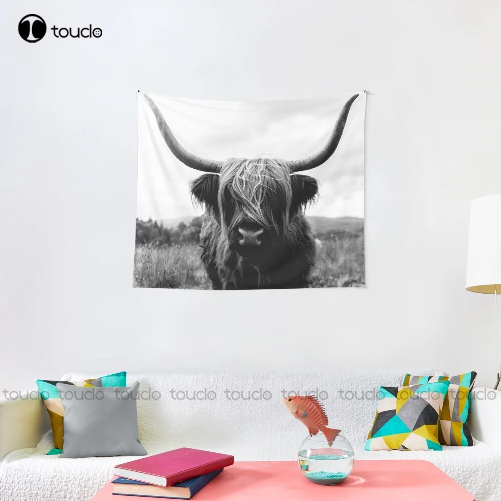 Scottish Highland Cattle - Bla - огляд і ціна Photography Online