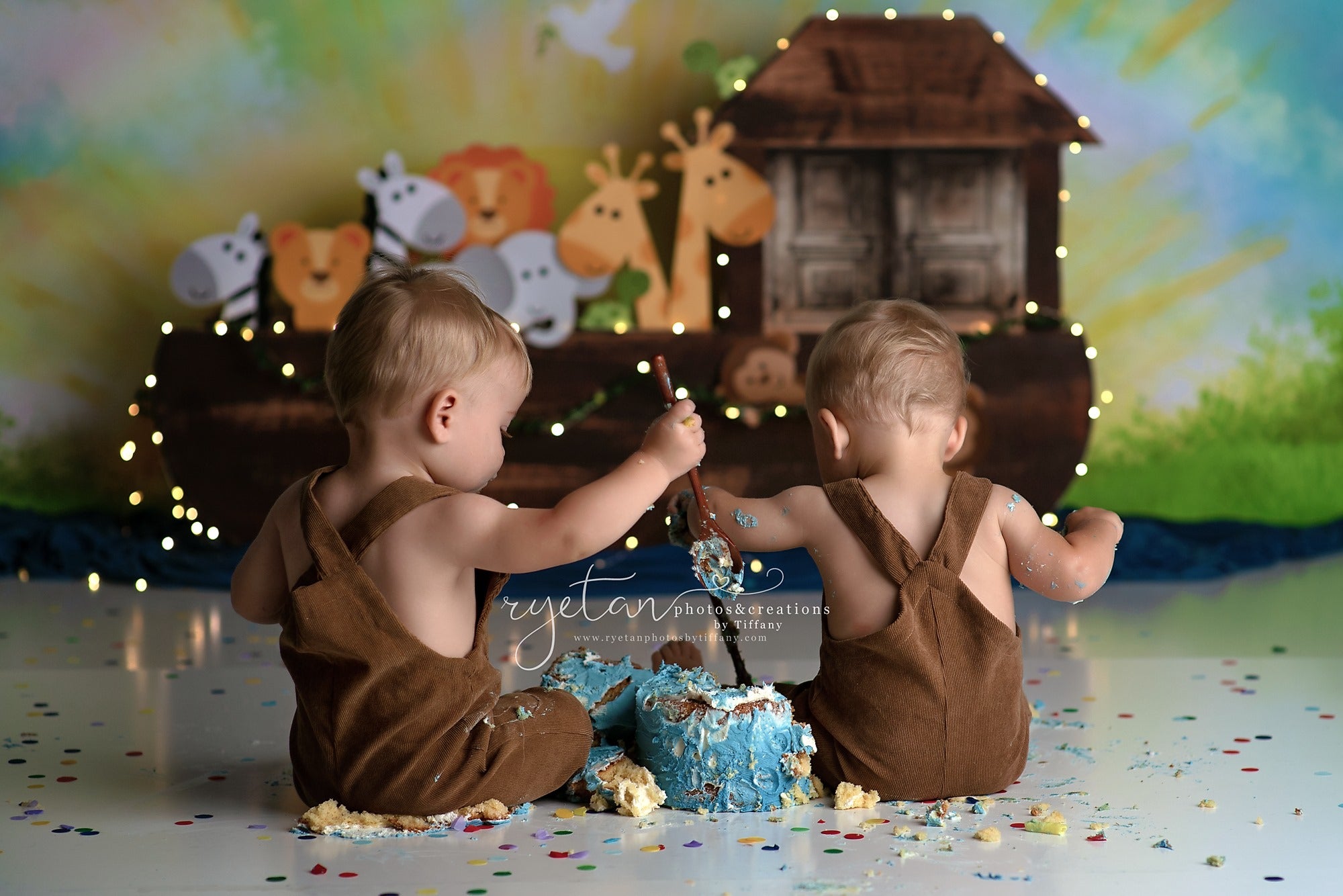 Noahs Ark Animals Zoo Backdrop - огляд і ціна Photography Zoo